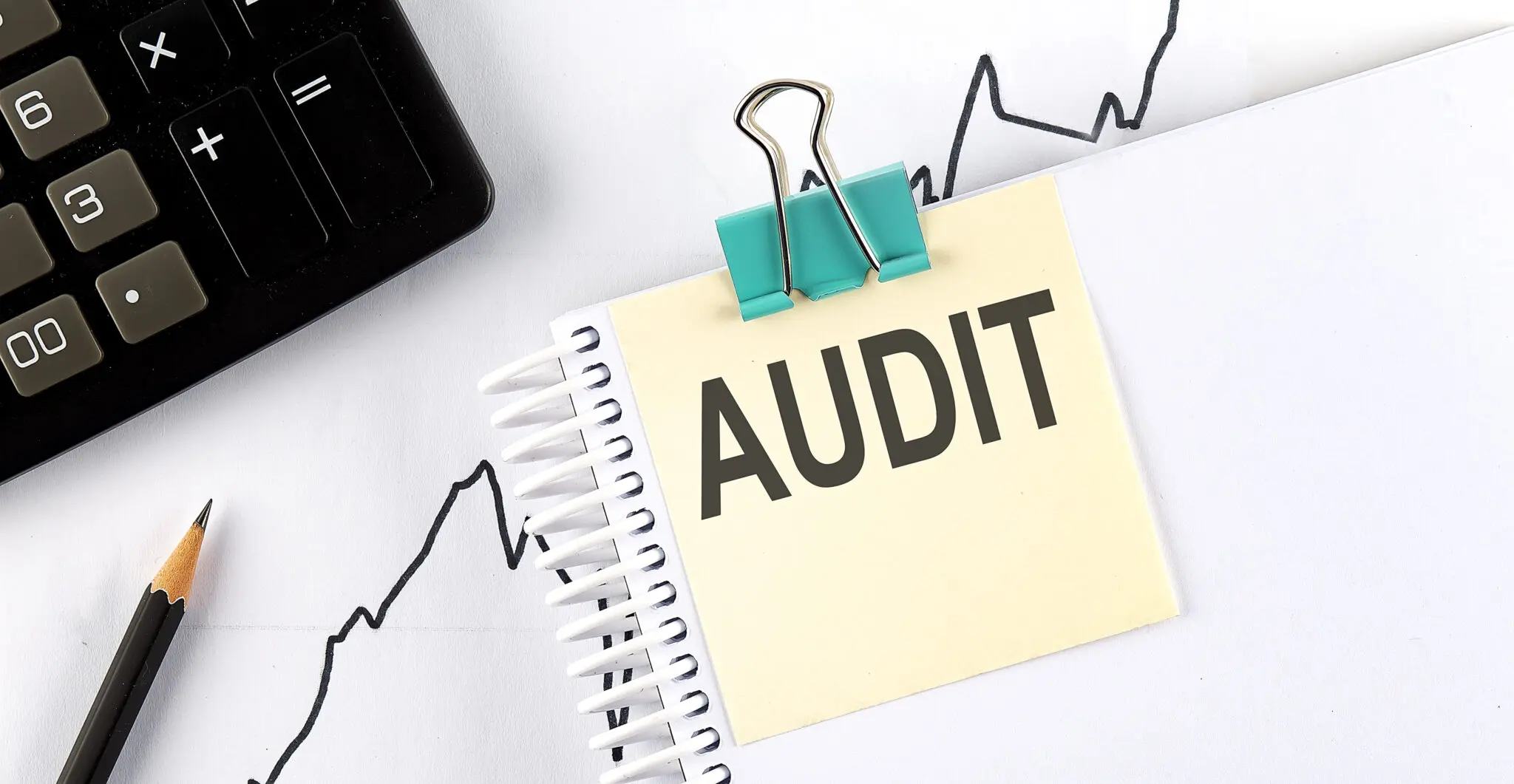How to audit a purchase department?